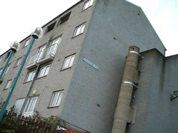 The Billy Banks - still alive