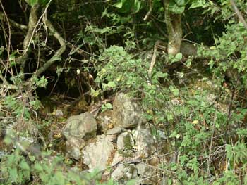 All that'sleft of Brysta Fach